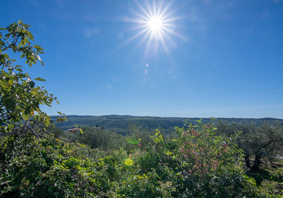 Lokacija: Obalno - kraška, Koper, Koštabona
