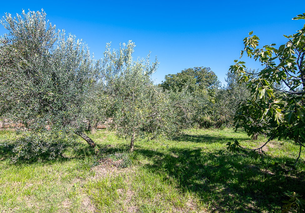 Lokacija: Obalno - kraška, Koper, Koštabona