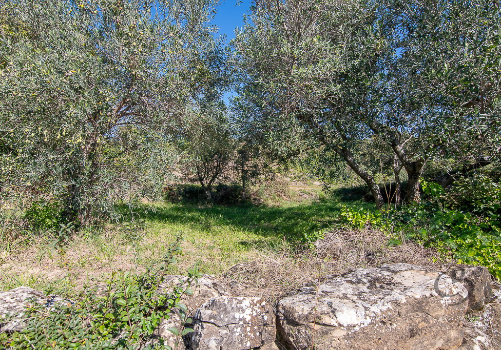 Lokacija: Obalno - kraška, Koper, Koštabona