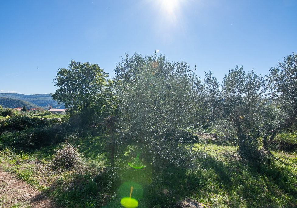 Lokacija: Obalno - kraška, Koper, Koštabona