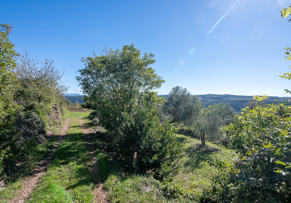 Lokacija: Obalno - kraška, Koper, Koštabona
