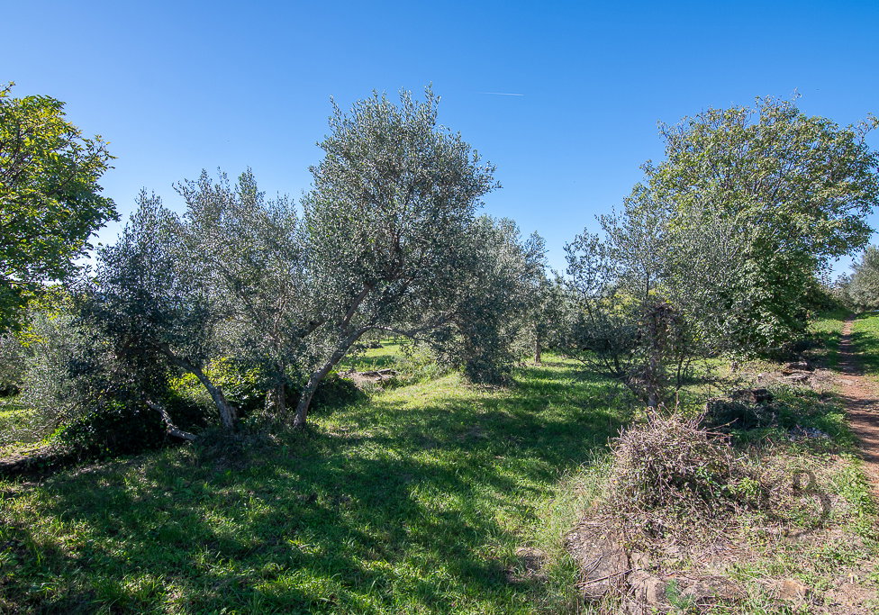 Lokacija: Obalno - kraška, Koper, Koštabona