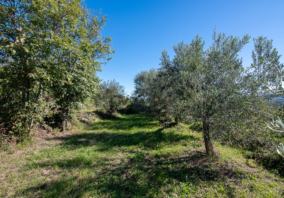 Lokacija: Obalno - kraška, Koper, Koštabona