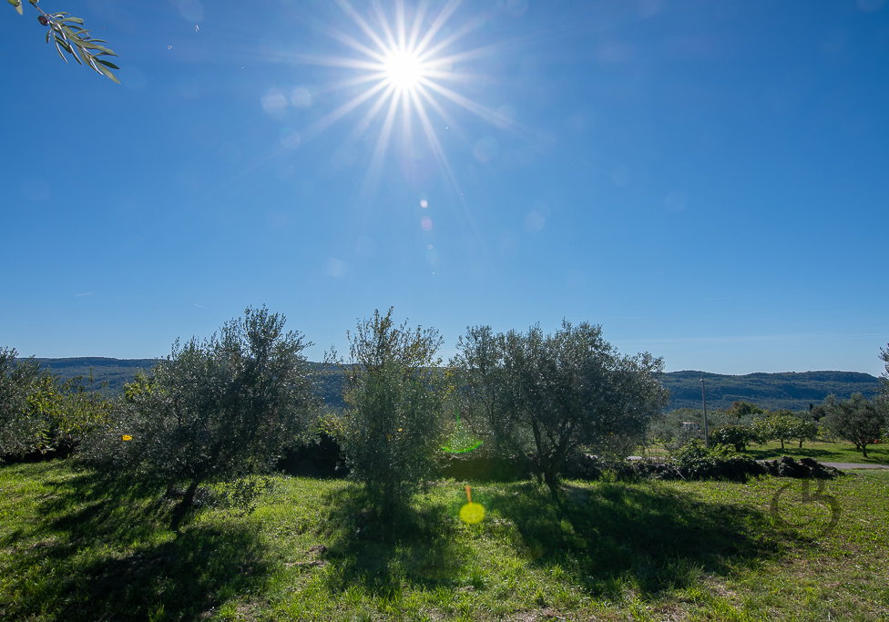 Lokacija: Obalno - kraška, Koper, Koštabona
