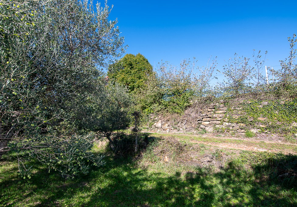 Lokacija: Obalno - kraška, Koper, Koštabona
