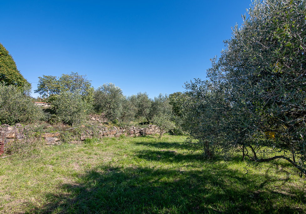 Lokacija: Obalno - kraška, Koper, Koštabona