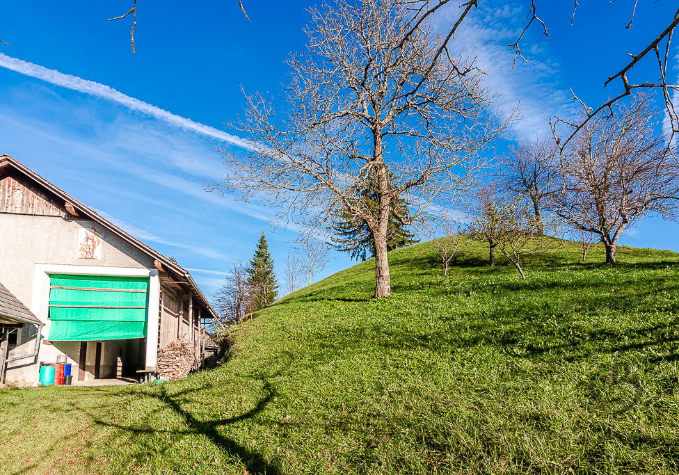 Location: Ljubljana okolica, Dobrova - Polhov Gradec, Šentjošt nad Horjulom