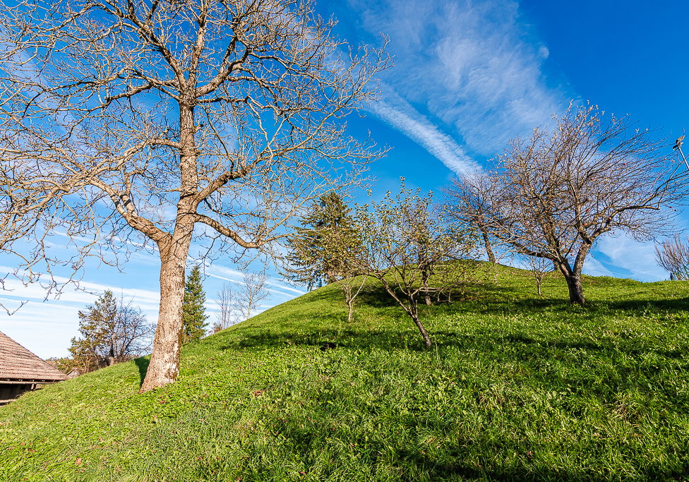 Location: Ljubljana okolica, Dobrova - Polhov Gradec, Šentjošt nad Horjulom