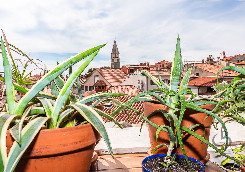 Location: Obalno - kraška, Izola, Center