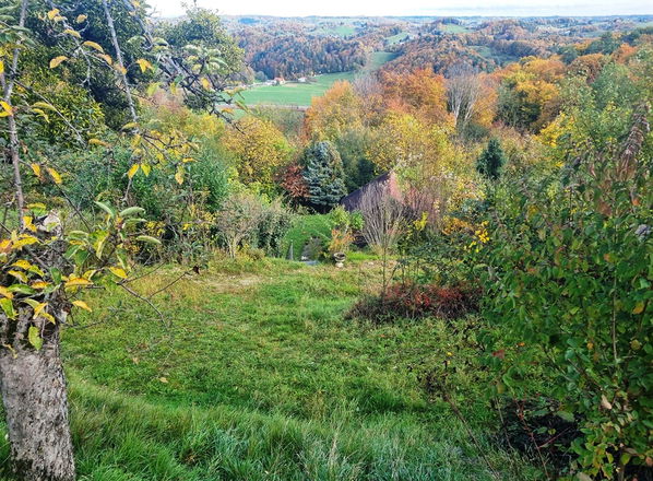 Lokacija: Podravska, Kungota, Kozjak nad pesnico