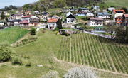 Lokacija: Podravska, Maribor, Malečnik