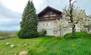 Lokacija: Podravska, Maribor, Malečnik