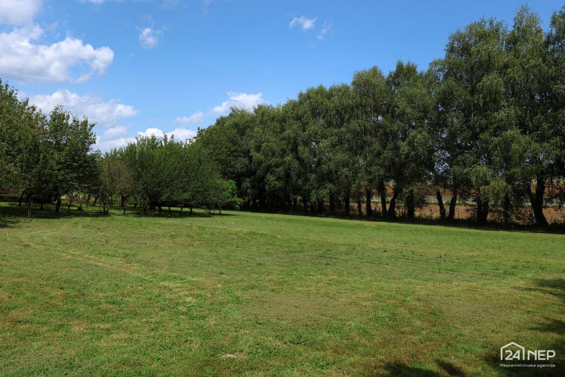 Lokacija: Podravska, Hoče - Slivnica, Orehova vas