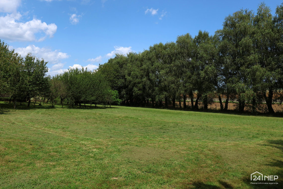 Lokacija: Podravska, Hoče - Slivnica, Orehova vas