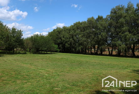 Lokacija: Podravska, Hoče - Slivnica, Orehova vas