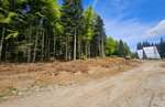Lokacija: Podravska, Hoče - Slivnica, Slivniško pohorje