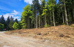 Lokacija: Podravska, Hoče - Slivnica, Slivniško pohorje