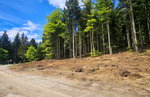 Lokacija: Podravska, Hoče - Slivnica, Slivniško pohorje