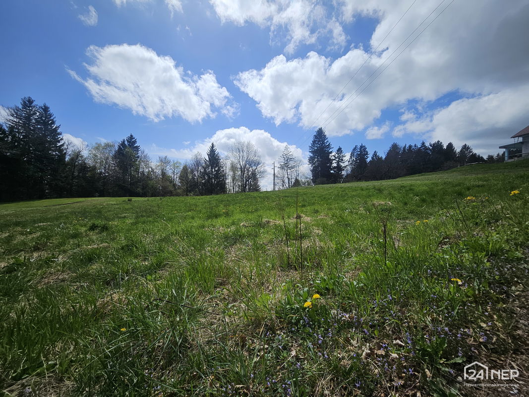 Lokacija: Podravska, Hoče - Slivnica, Slivniško pohorje