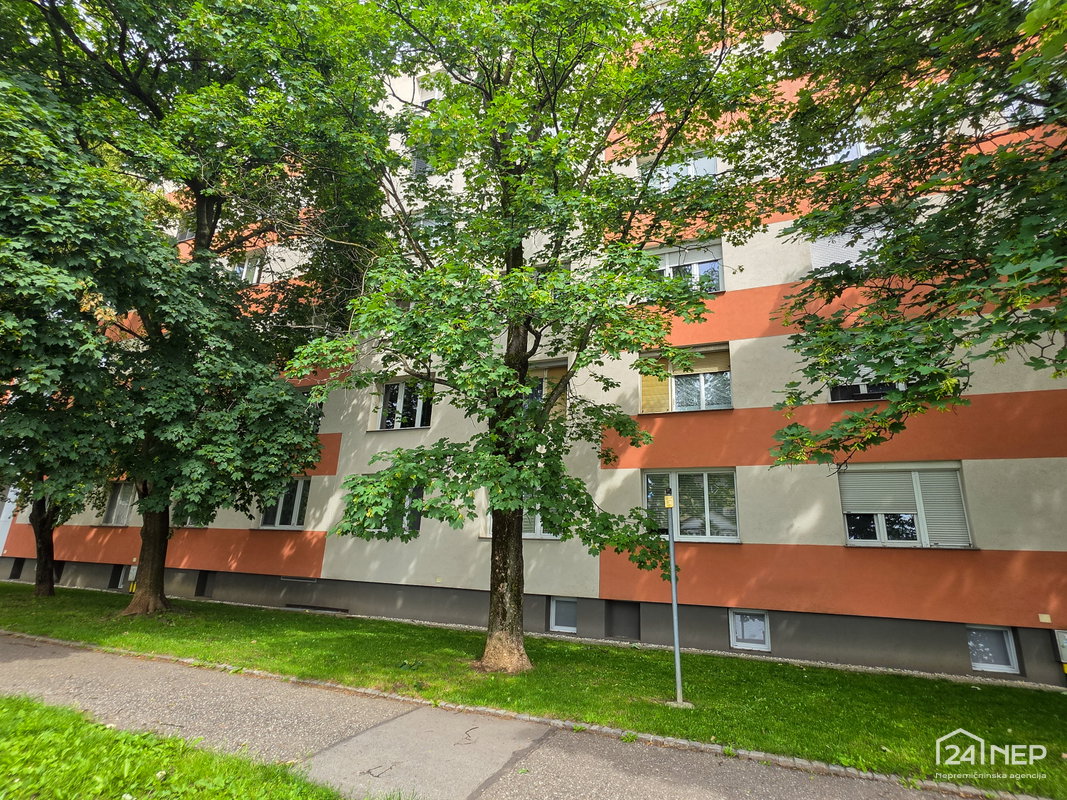 Lokacija: Podravska, Maribor, Tabor