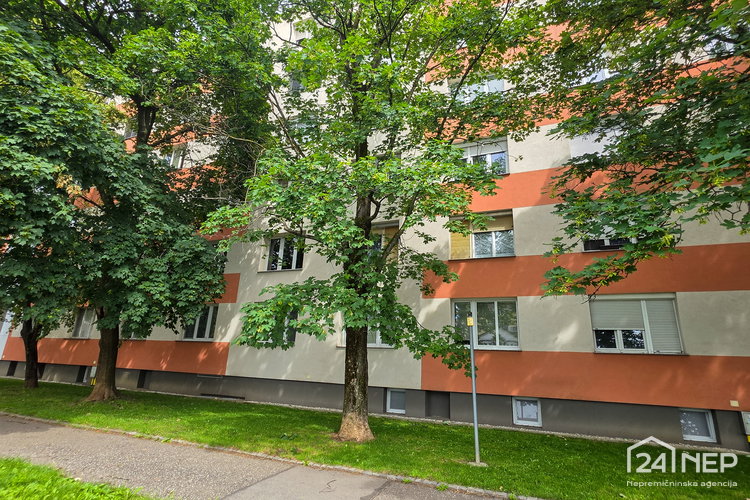 Location: Podravska, Maribor, Tabor