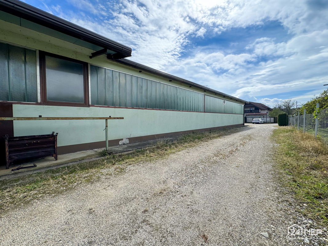 Lokacija: Podravska, Starše, Brunšvik