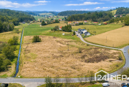 Lokacija: Podravska, Pesnica, Pesniški dvor