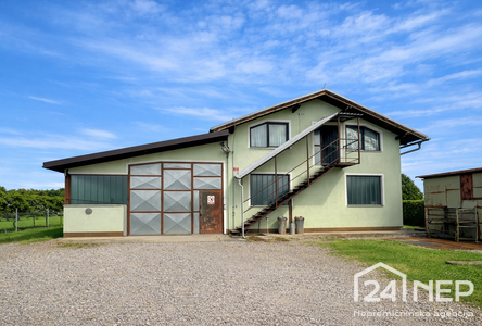 Lokacija: Podravska, Starše, Brunšvik