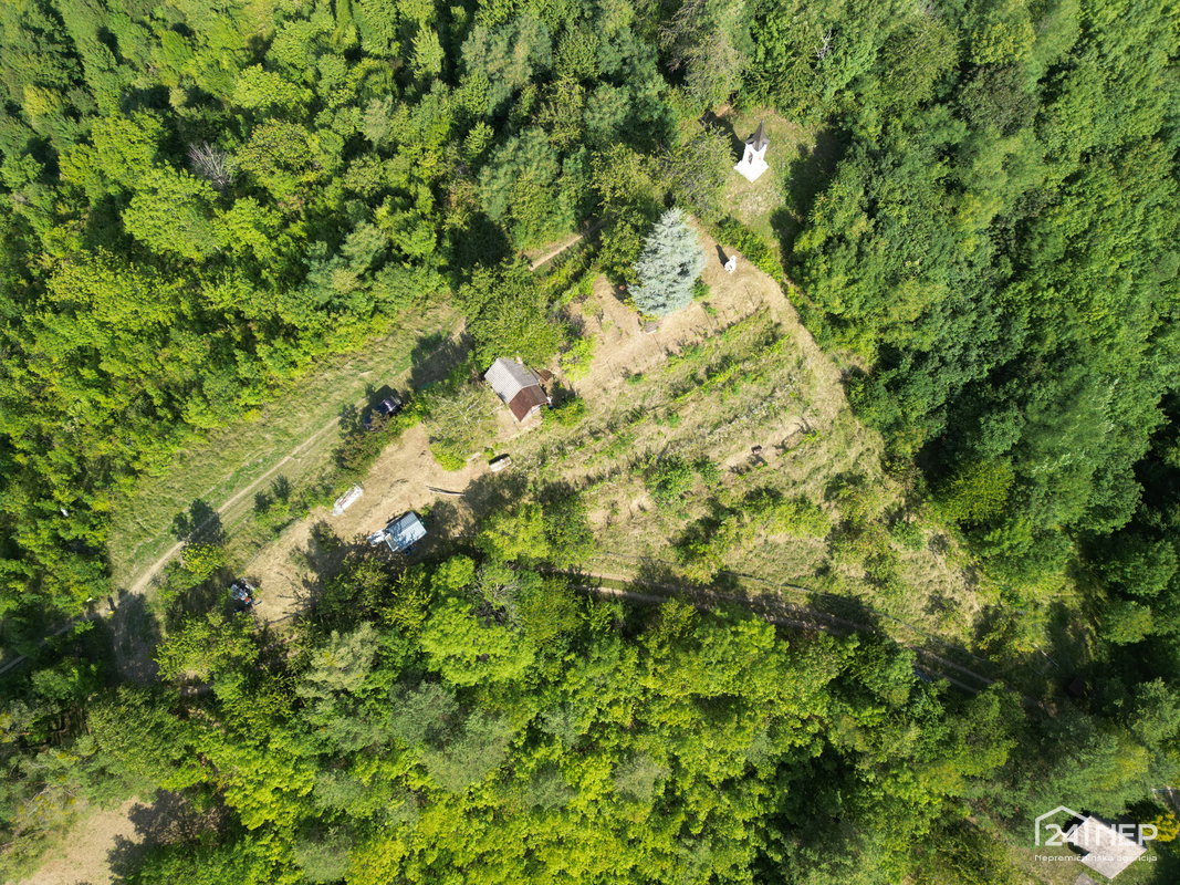 Lokacija: Podravska, Maribor, Kamnica