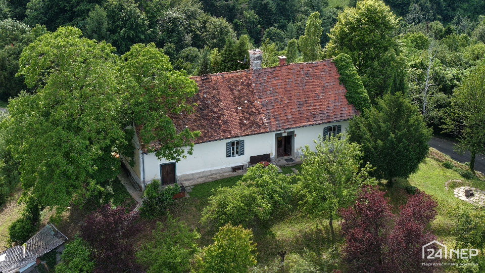 Lokacija: Podravska, Videm, Berinjak