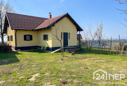 Lokacija: Podravska, Benedikt, Štajngrova