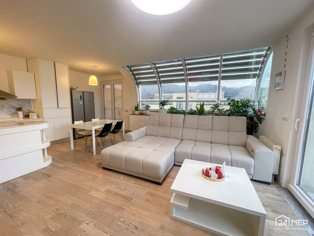 Lokacija: Ljubljana mesto, Vič-Rudnik, Rudnik