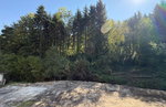 Lokacija: Podravska, Poljčane, Lovnik