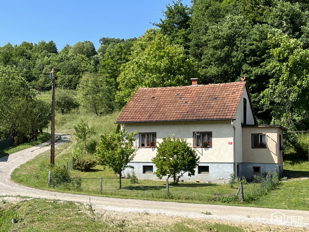 Lokacija: Podravska, Kungota, Kozjak nad pesnico