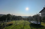 Lokacija: Podravska, Ormož, Velika Nedelja