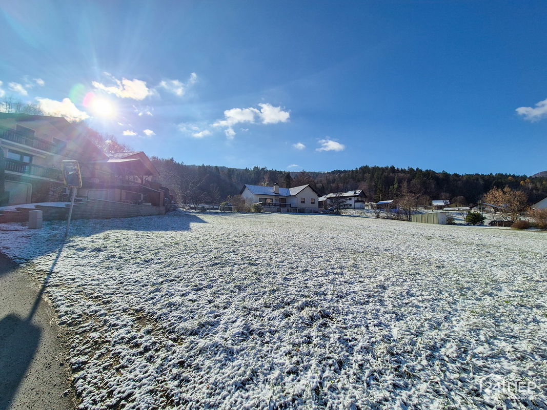 Lokacija: Spodnjeposavska, Radeče, Žebnik