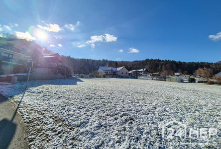 Lokacija: Spodnjeposavska, Radeče, Žebnik