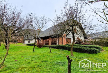 Lokacija: Podravska, Hoče - Slivnica, Orehova vas