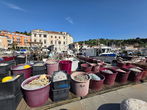 Lokacija: Obalno - kraška, Piran, Center