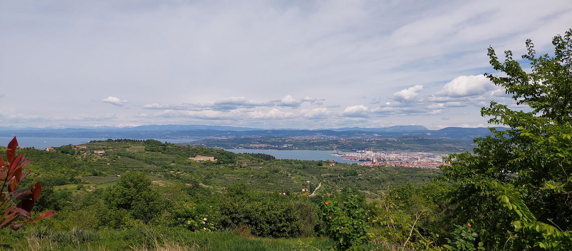 Lokacija: Obalno - kraška, Koper, Gažon