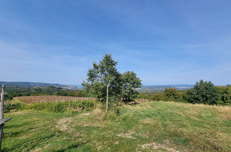 Lokacija: Obalno - kraška, Koper, Marezige