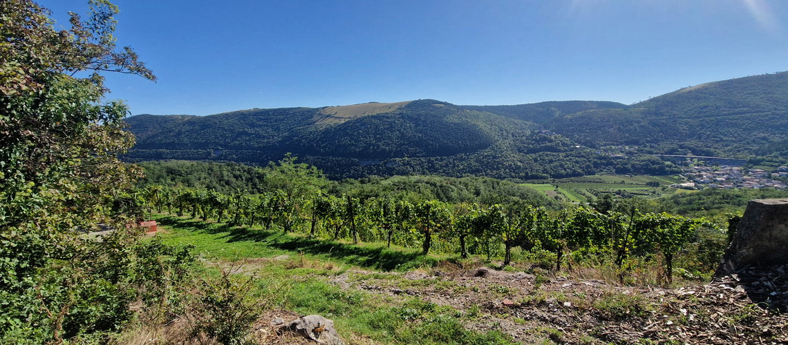 Lokacija: Goriška, Nova Gorica, Preserje