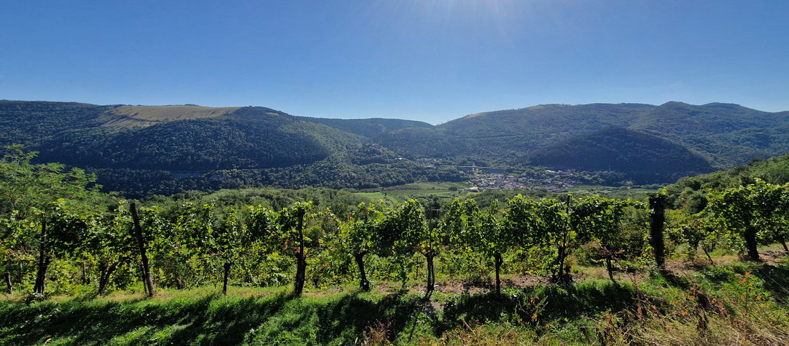 Lokacija: Goriška, Nova Gorica, Preserje