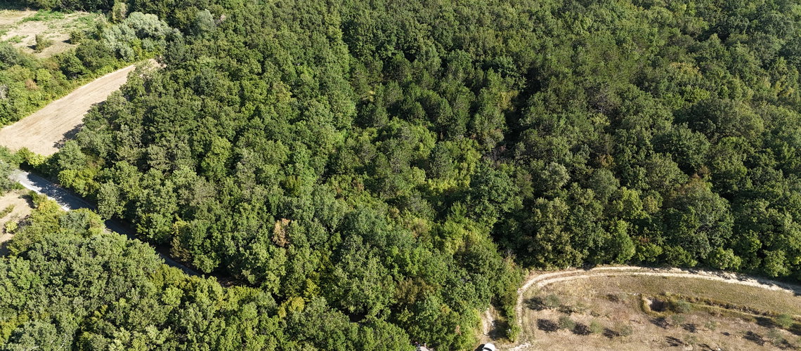 Nepremičnina: Prodaja, Parcela, Kmetijska površina Lokacija: Obalno - kraška, Koper, Lopar