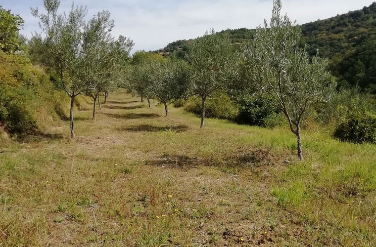 Lokacija: Obalno - kraška, Koper, Šmarje