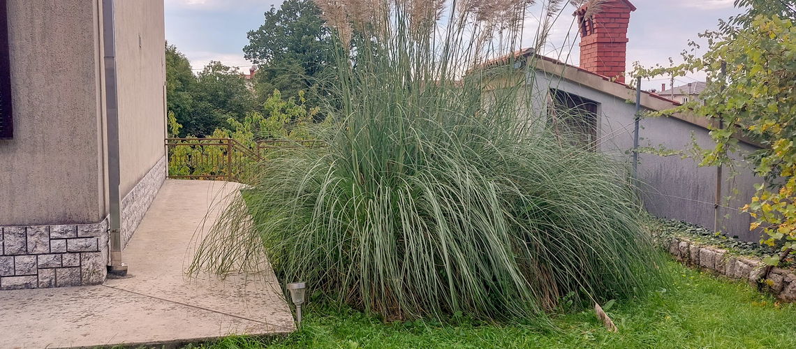 Lokacija: Hrvaška, Rijeka