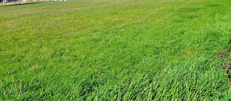 Lokacija: Obalno - kraška, Hrpelje - Kozina, Ocizla