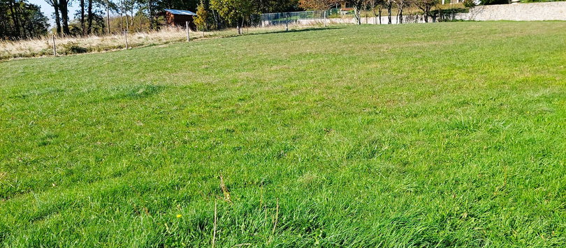 Lokacija: Obalno - kraška, Hrpelje - Kozina, Ocizla