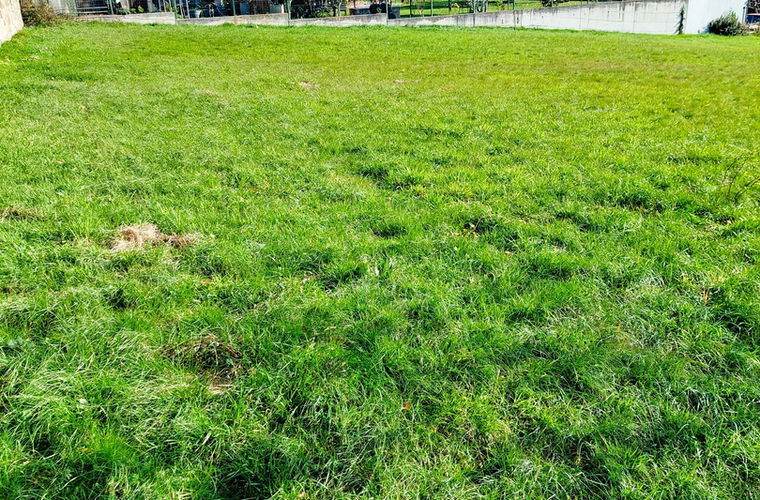 Lokacija: Obalno - kraška, Hrpelje - Kozina, Ocizla