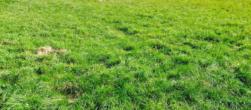 Lokacija: Obalno - kraška, Hrpelje - Kozina, Ocizla